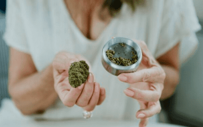 CBD shops: where to buy light cannabis in Italy