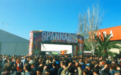 Spannabis 2023: the fair dedicated to cannabis is back