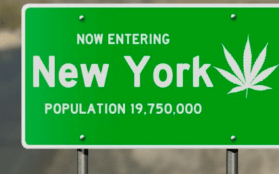 New York legalizes recreational marijuana.