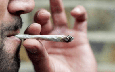 A Novice Smoker’s Guide to the Proper Use of Cannabis