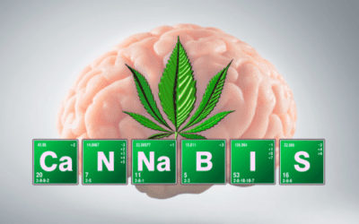 Marijuana “kills” the protein that triggers Alzheimer’s